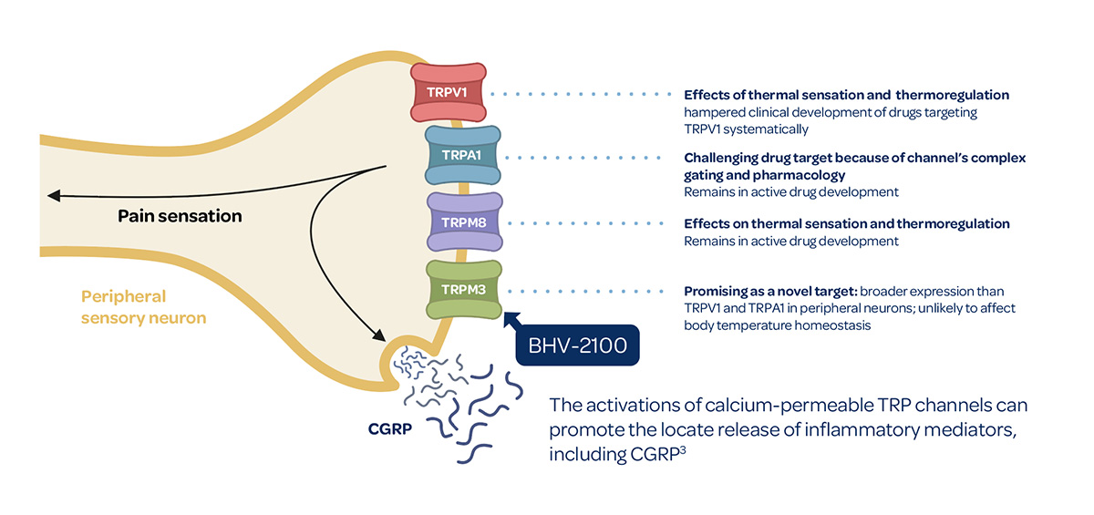 TRPM3 Graphic